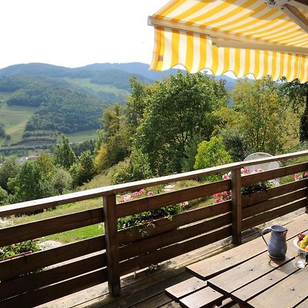 Chalet-Gite Berbuche Sainte-Croix-aux-Mines Eksteriør billede