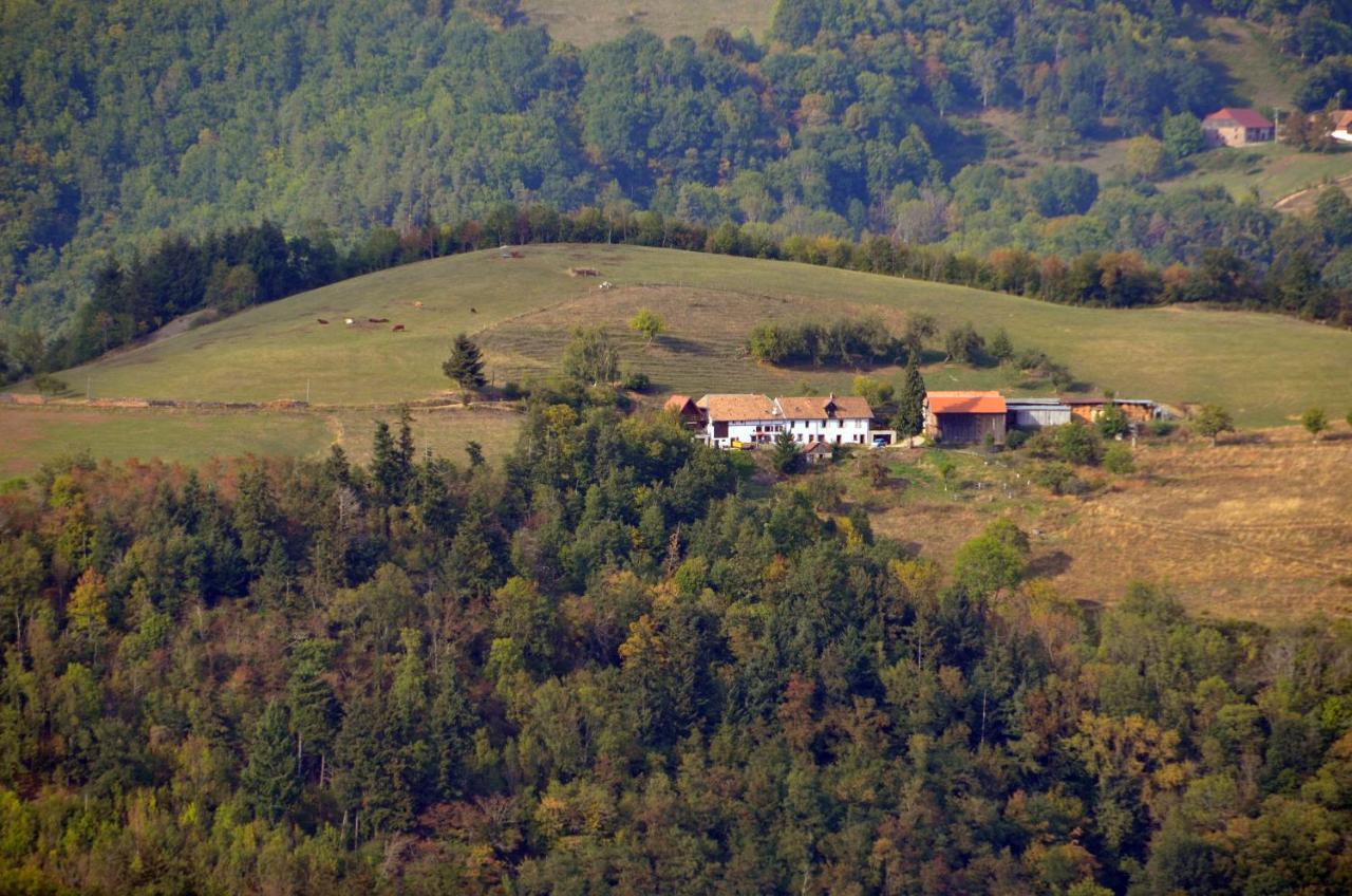 Chalet-Gite Berbuche Sainte-Croix-aux-Mines Eksteriør billede